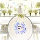 CN베이비 Daum카페