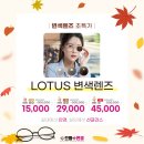 으뜸플러스안경 부산당감점 네이버블로그