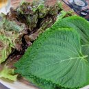 사계진미 지행역점 이미지