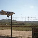 수원-1943 이미지