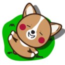 석사주유소 이미지