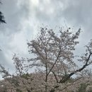 미 공군 조종사 구출 작전에서 우리 군을 돌아본다. 이미지