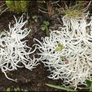 스포짐휘트니스 이미지