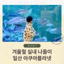 서대전역(3층) 공중화장실 | 겨울 실내 나들이 아쿠아플라넷 일산 공연관람 시간표 &amp; 포토존, 내돈내산 생생후기