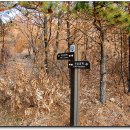 축동농장 이미지