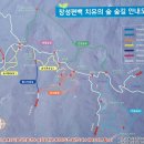 전남 장성 축령산(621m) : 장성 편백치유의 숲 이미지