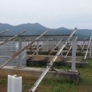 라인태양광발전소 이미지