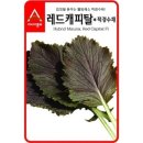 씨앗 이미지