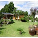 돈내코펜션 이미지