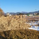 덕진체련공원 테니스장 이미지