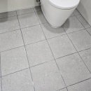 유원1차(유원하나) 이미지