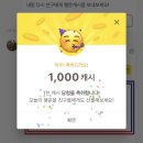 할로키티