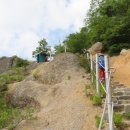 초록숲공원 이미지