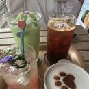 꽃차당 | [부평/부평구청 카페] 청리단길 애견동반 가능한 티와 케이크가 맛있는 '꽃차당' 카페 후기
