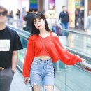 수진니트