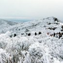 태백산식품