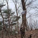 대조2리 이미지