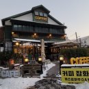 파게스트 이미지