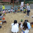 도장초등학교 이미지
