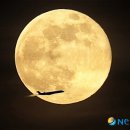 달이차오른다