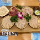 화진전복 | 대구 화원 맛집 화진회초밥 회덮밥 술집 진천점 달서구 횟집