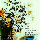 실버체조지도사 이미지