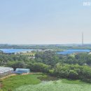 로얄컨설팅공인중개사사무소 이미지