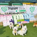 멍스빌리지풀빌라1 이미지