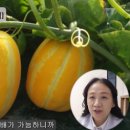 참좋은한약국 네이버블로그