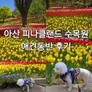 꽃향기어린이집 | 아산 피나클랜드 (평일만애견입장가능)애견동반 후기