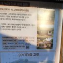 3917마중