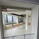 호텔멍 | 영등포 애견호텔 추천 우유앤멍 내돈내산 후기｜16살 노견 3년 맡긴 곳