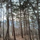 성주산(보령, 677m)