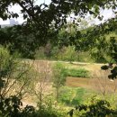 이레식품상사 이미지