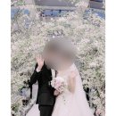 인스토리 이미지
