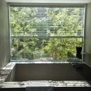 테라키아 이미지