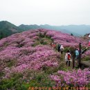 대청세탁소 이미지