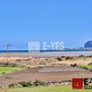 종달초등학교 이미지