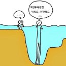 롤로 이미지