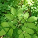 능성동농장 이미지