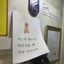 골든벨노래연습장 이미지