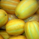 현이네농장 이미지