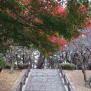 김유신장군묘 | 경주 김유신 장군묘 (흥무대왕릉) 다녀온 후기