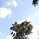 밸리 통나무 빌리지 이미지