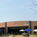용인 애견동반 가능 대형카페 몽키리코 주말 드라이브 다녀왔어요.