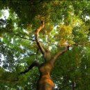 자연-탄생 이미지