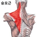 해머하우스 이미지