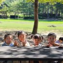 베비텔어린이집 이미지