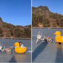 해랑달이랑영농조합법인 | 국내 겨울 여행지 추천, 1월 가볼만한곳 best 5