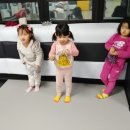 금강 인성 태권도장 이미지